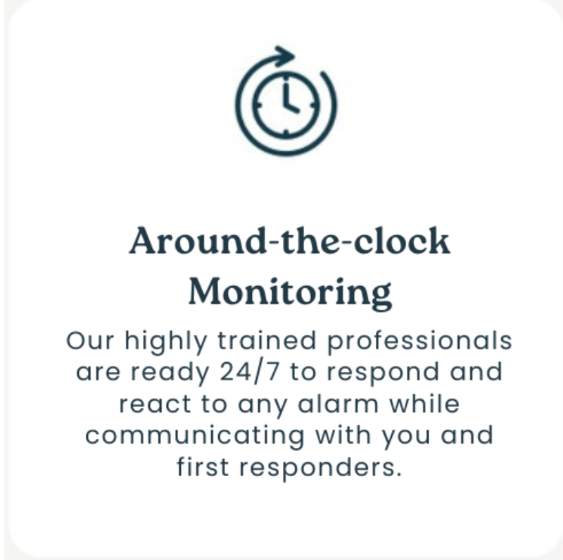 Homezies Home Security Landing Page (4).pdf (4)